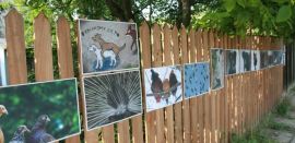 Mięćmierz presents